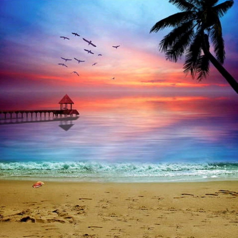 Meet your Posher, Xeno